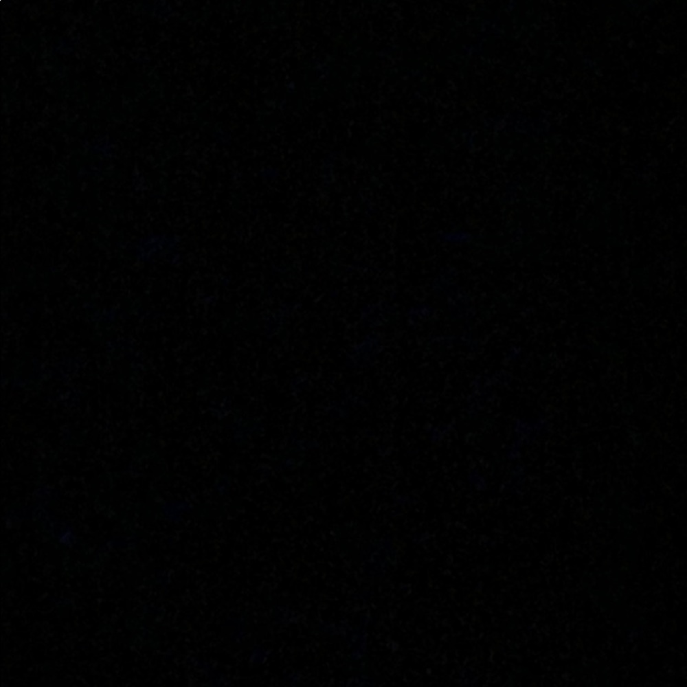 Meet your Posher, Mackenzie